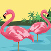 flamingo